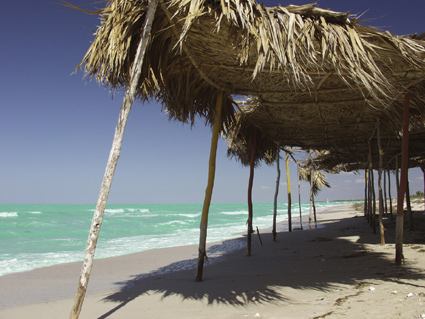 Village de Pecheur
Mexique toujours... Black Bass grillé sur la plage... 
Mots-clés: Mexique tropique village ocean caraibes