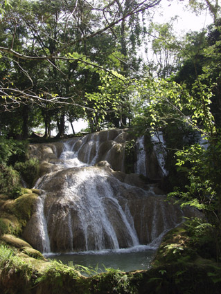 Cascade
Mexique, les cascades bleues...
Mots-clés: Mexique cascade_bleue foret eau riviere