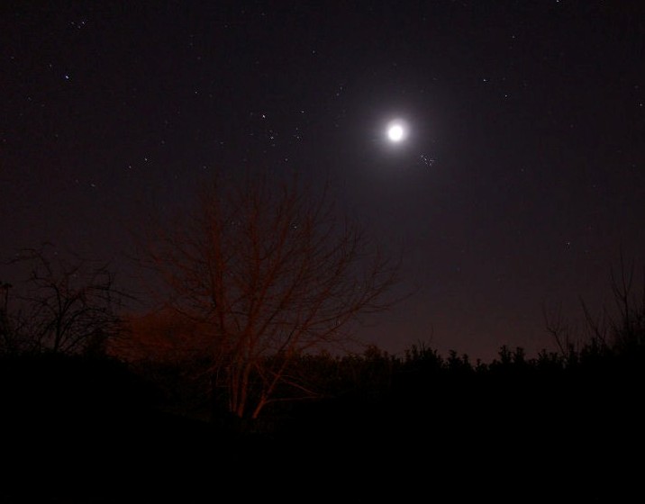 Coup de lune
pose de 30s, iso 200 avec sony dsc-v3

Mots-clés: lune étoiles sony