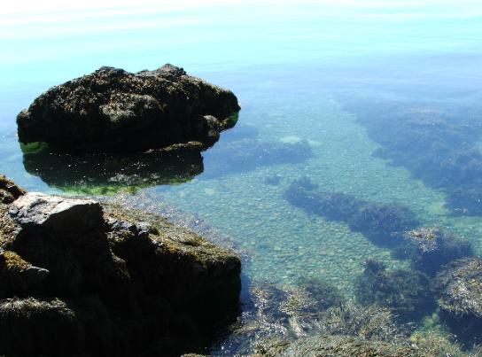 Fon de mer
C'est le fon de mer au nouveau brunswick
Mots-clés: Mer