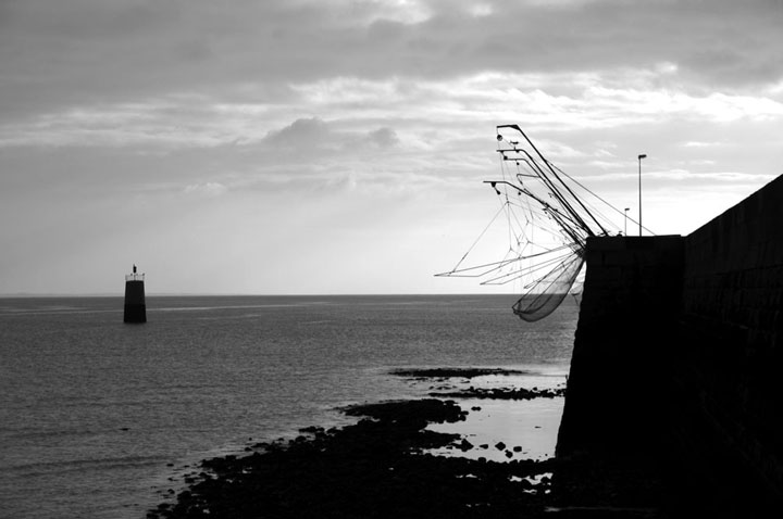 La jetee ouest
l'estuaire aux eaux somatre regorge de poissons et crustacees en tout genre un bonheur pour la peche au carrelet
Mots-clés: saint nazaire port jette ouest