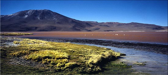 palette de couleurs
la laguna colorada, à plus de 4200 m d'altitude, dans l'altiplano de Bolivie, et ses couleurs incroyables, entre le jaune de la végétation, le vert des mousses, le rouge d'une algue spécifique, et le blanc de dépôts de borax, sous le ciel bleu
Mots-clés: lagunes paysages Bolivie Amériques