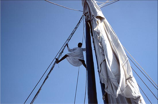 voiles au vent sur le Nil
le mousse grimpe à la mâture d'un sandal, un des rares voiliers à deux mâts que l'on trouve encore sur le Nil. Ces embarcations, nettement plus grandes que les fameuses felouques, servaient naguère au transport de marchandises.
Egypte, novembre 2001
Mots-clés: scènes Egypte Afrique