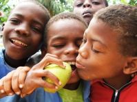 Sao Tome 2005 041.jpg