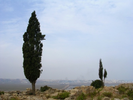 Lixus
Vue depuis le site archéologique de Lixus, ville de Larache
Mots-clés: v d r g