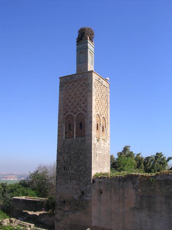 Minaret
Minaret du l'Ecole de Chella XIVème siècle
