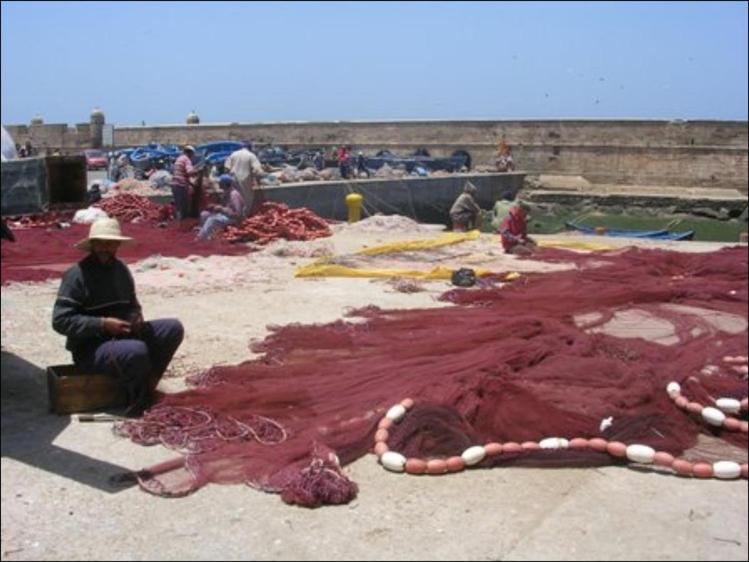 Pêcheur au port d'Essaouira
Mots-clés: Essaouira Maroc