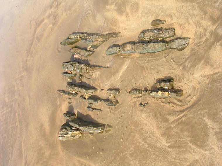 Traces à la Plage
Trcaes à la Plage
