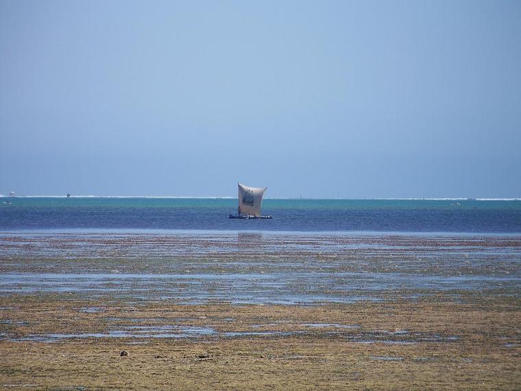 Mangaly
Marrée basse sur le canal du mozambique
