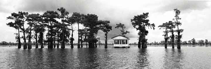 Le Bayou en Louisiane, Etats-Unis
Photo prise dans les bayous en Louisiane en Juillet 2005 avec un Nikon FM
Mots-clés: Louisiane Bayou