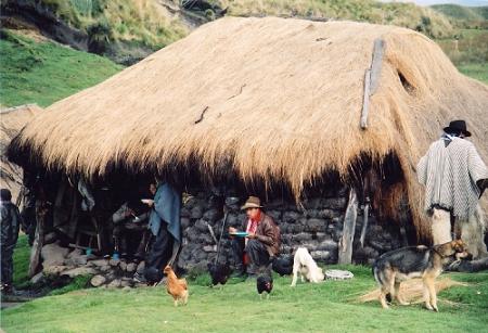 cabane
maison accompagnant les arenes des rodeos sauvages des paramos ...
Mots-clés: equateur indien indigene paramo chagra maison