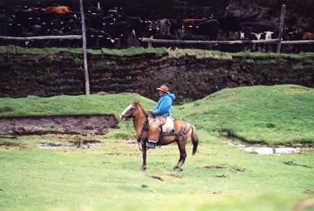 chagra
hommes du paramo acteurs ds rodeos
Mots-clés: equateur indien indigene chagra rodeo andes