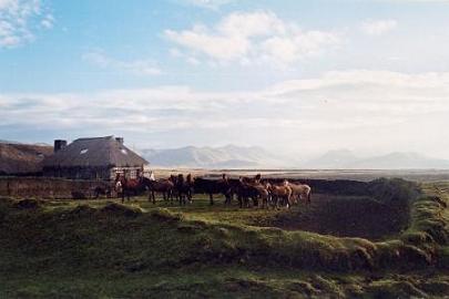 tambo
refuge datant des incas (retapé depuis ...) 
Mots-clés: equateur andes paramo refuge inca cheval chevaux