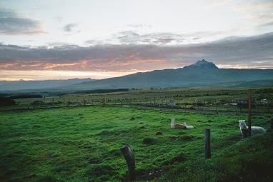 sincholagua 2
(idem)
Mots-clés: andes-soleil