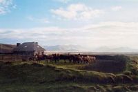 refuge inca dans paramo.jpg