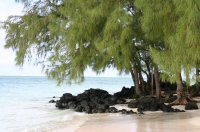 Ile Maurice Ile au Cerf 089 Mai
Ile au Cerf 01
Mots-clés: Ile-au-cerf Maurice