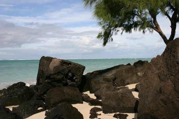 Ile Maurice Ile aux Cerfs 090
Ile Maurice 090
Mots-clés: Ile-aux-Cerfs