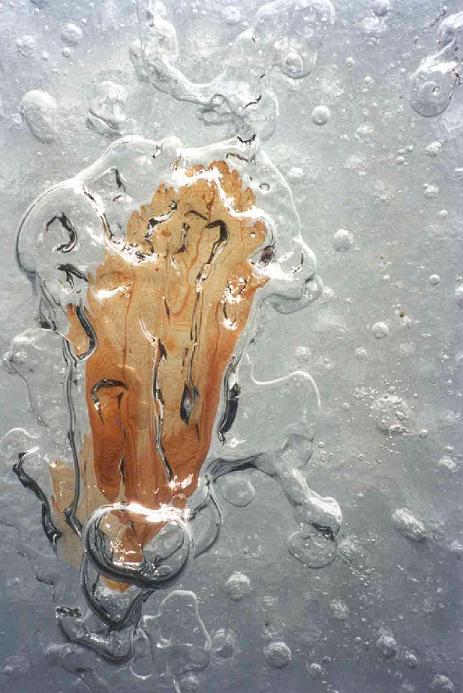 Feuille dans la glace sur lac gelé
Sur un lac gelé cette feuille a été prise dans sa gangue de glace.
Mots-clés: glace feuille