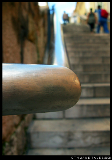 Un jour d'été a Marseille
Mots-clés: Marseille France macro