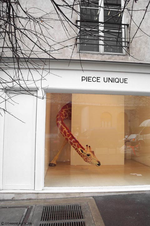 Animal art, c'est une rencontre improbable avec un tel animal à Paris !
Mots-clés: animal paris gallerie art improbable france europe