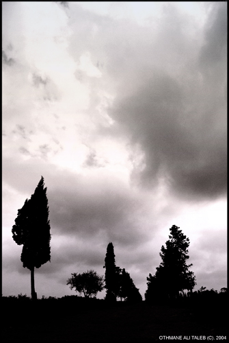 crepuscule
crepuscule et manifestation de la nature en afrique du nord
Mots-clés: algerie foret nature