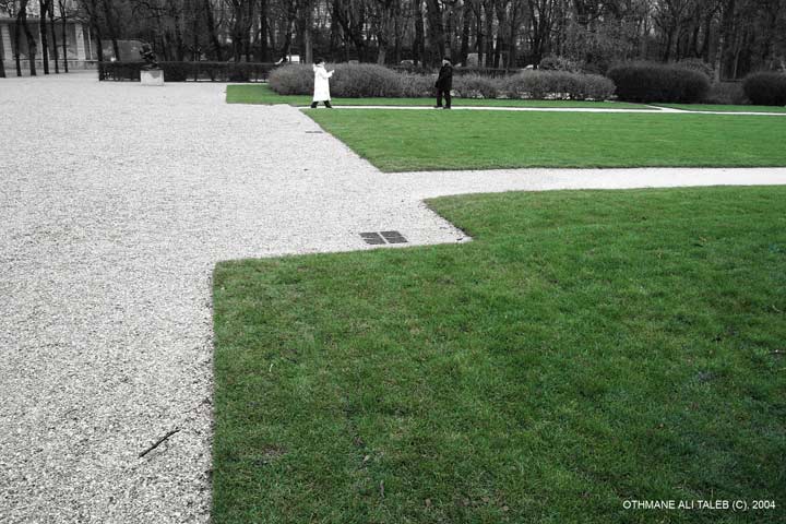 Jardin du musee rodin, une rencontre avec la nature en site urbain.
Mots-clés: paris jardin musee rodin