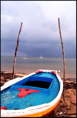 l'ile de pecheurs
l'ile de pecheurs a kerkennah apres un orage, lumiere et couleurs revivent
Mots-clés: Tunisie paysage Afrique ile barques