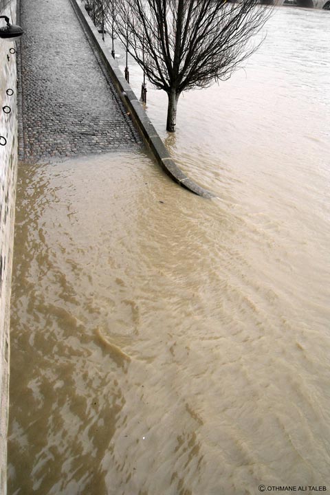 Les scènes de la Seine en émoi
un moment où la Seine est en émoi.
Mots-clés: Paris seine eau debordement