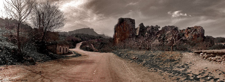 Nature sauvage, la nature et ses manifestations, Tunisie nord ouest
Mots-clés: nature Tunisie sauvage arbre
