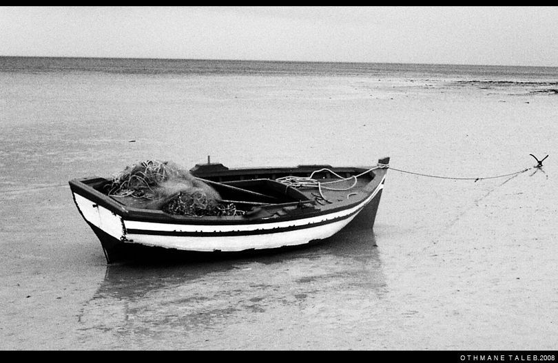 Barque sur l'ile de Kerkennah
un jour d'hiver, seul sur la plage...
Mots-clés: kerkennah Tunisie