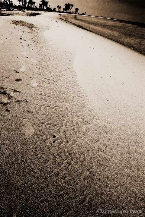 Plage de l'ile de Kerkennah, Tunisie
Mots-clés: plage Tunisie ile Kerkennah