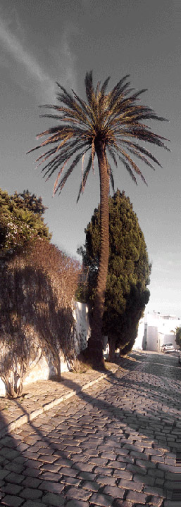 Le vieux village de sidi bou said en Tunisie
Mots-clés: sidi bou said Tunisie village