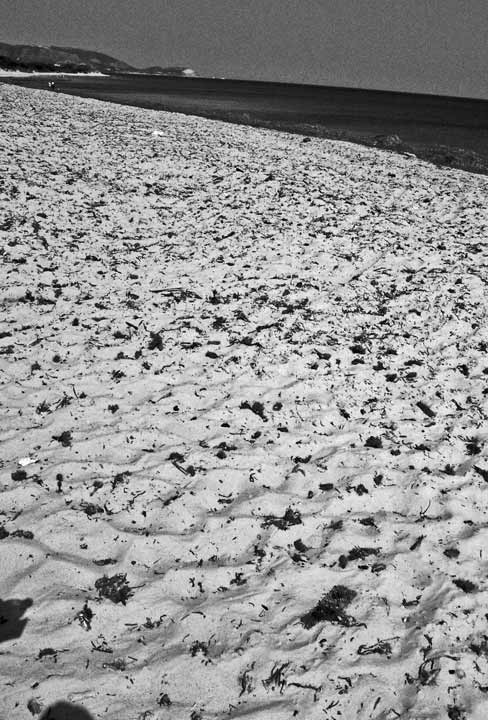 The beach, une plage deserte en Tunisie
Mots-clés: plage Tunisie