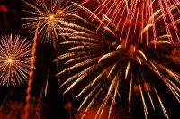 FLEURS DE LUMIERE.jpg