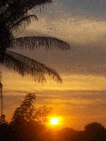 coucher de soleil2~0.gif