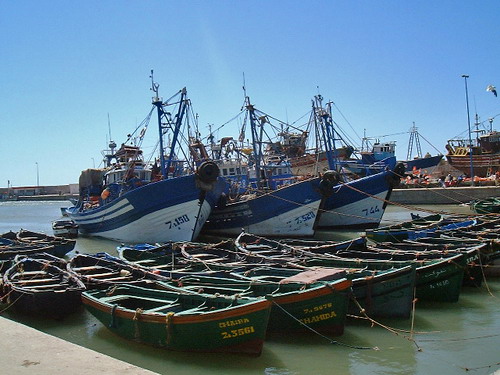 Essaouira
Sardiniers dans le port
Mots-clés: Maroc