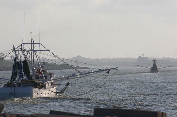 Bateau de pêche arrivant au port de Tampico, Mexique
Mots-clés: mexique voyage mer port bateau