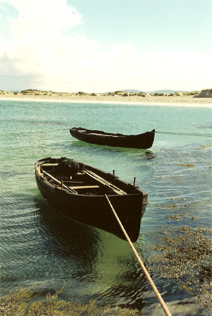 peninsule de sline head en irlande
Mots-clés: irlande