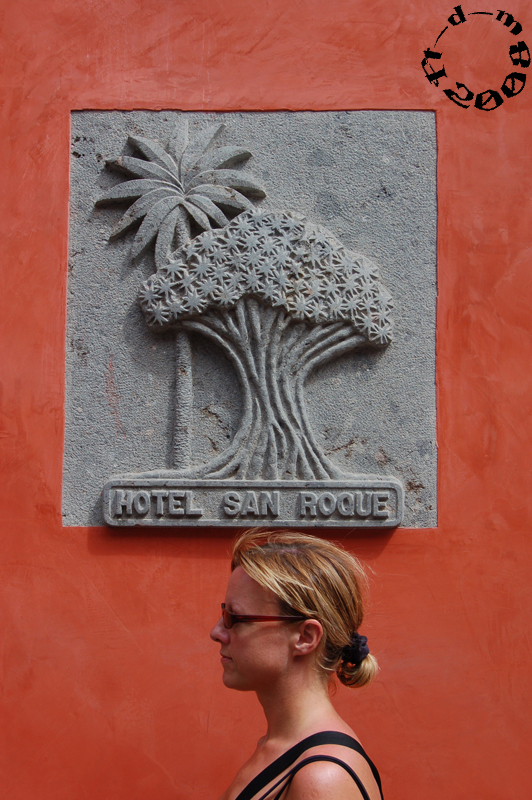 Arbre sur la tête, Tenerife
Mots-clés: Tenerife