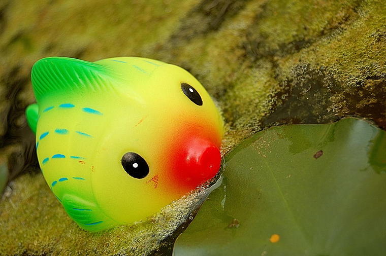 Poisson dans la mare
Espèce unique !!!
