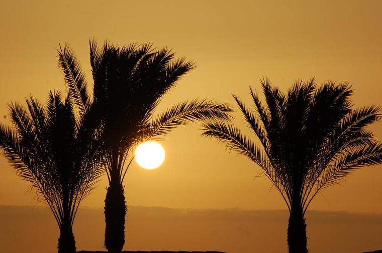 Playa paraiso, Tenerife
Mots-clés: Canaries Tenerife