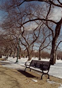 Etats-Unis
Some pictures I brought back from the states
Mots-clés: Washington DC mall