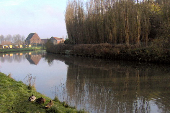 canards et reflets
rives de la Marque, novembre 2005
Mots-clés: Marquette 59