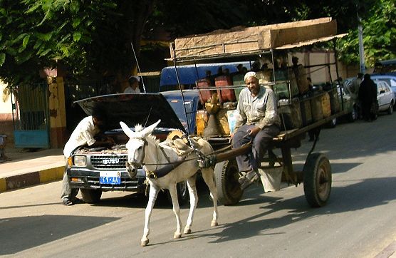 Vacances en Egypte
Edfou, quand une voiture est en panne, l'autre roule toujours
Mots-clés: Egypte
