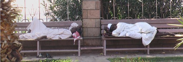 Philae, elle est pas belle la vie !
Vacances en Egypte
Mots-clés: Egypte Philae