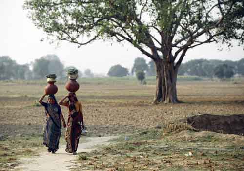 Eau
Deux femmes transportent des cruches d'eau qu'elles sont allées remplir dans un puits, près de Jaipur. Oct 2005
Mots-clés: Jaipur Rajasthan Inde