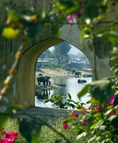 Éléphants
Des éléphants reçoivent le bain dans une rivière à Jaipur. 

Oct 2005
Mots-clés: Jaipur Rajasthan Inde