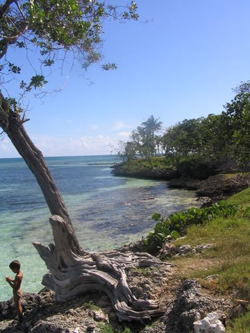 Pêche miraculeuse
Mots-clés: CUBA 2005