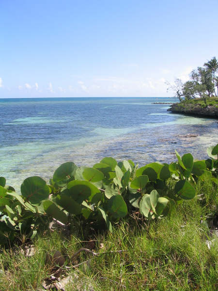Entre mer et terre
Mots-clés: Cuba