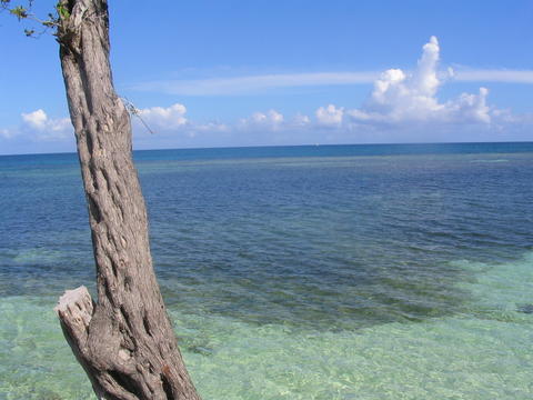 CUBA 2005
Mots-clés: CUBA